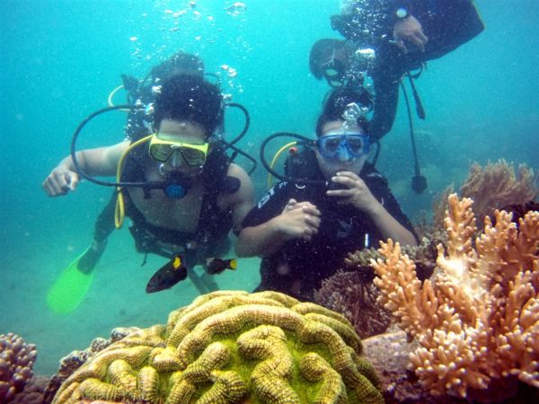Professional snorkeling speedboat one-day trip to sea